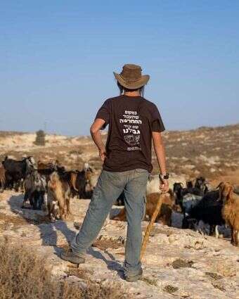 רועה צאן ביהודה ושומרון. למצולם אין קשר לכתבה. | חיים גולדברג, פלאש 90 רועה צאן ביהודה ושומרון. למצולם אין קשר לכתבה. | חיים גולדברג, פלאש 90
