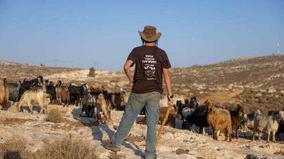 רועה צאן ביהודה ושומרון. למצולם אין קשר לכתבה. | חיים גולדברג, פלאש 90