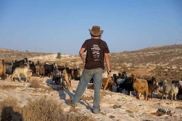 רועה צאן ביהודה ושומרון. למצולם אין קשר לכתבה. | חיים גולדברג, פלאש 90 רועה צאן ביהודה ושומרון. למצולם אין קשר לכתבה. | חיים גולדברג, פלאש 90