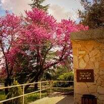 בית ספר שדה כפר עציון. | גרשון אלינסון, פלאש 90