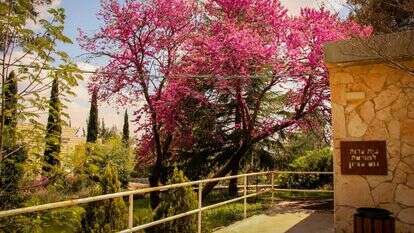 בית ספר שדה כפר עציון. | גרשון אלינסון, פלאש 90