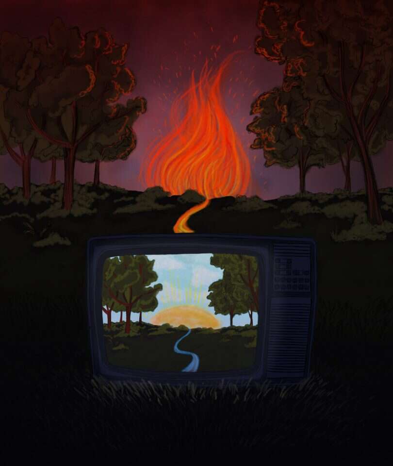 איור: שרון ארדיטי