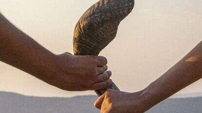 "שניים אוחזין", אלקנה לוי