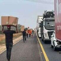 מתוך הסרטון