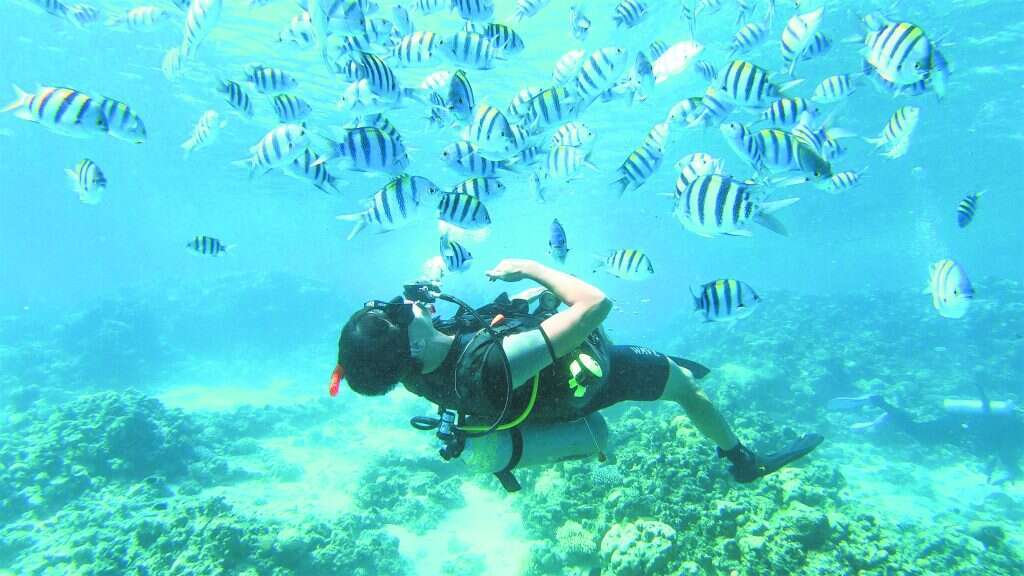 לשחות גם לשם ההנאה. דונלדסון בישראל. | קליסה פטרוביק, באדיבות המצולם