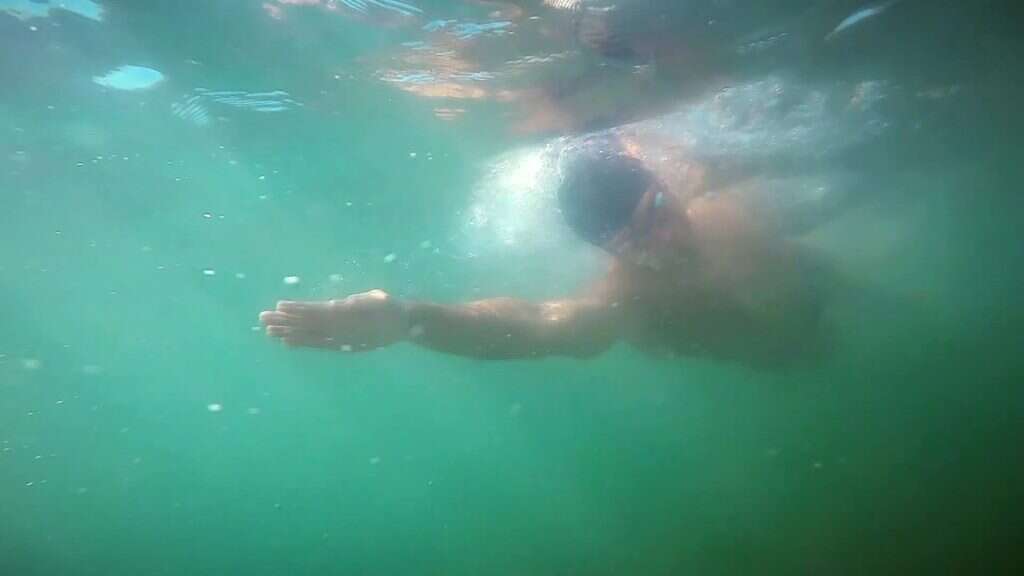 באדיבות המצולם