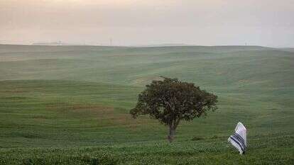 אהרון קרוהן/פלאש90