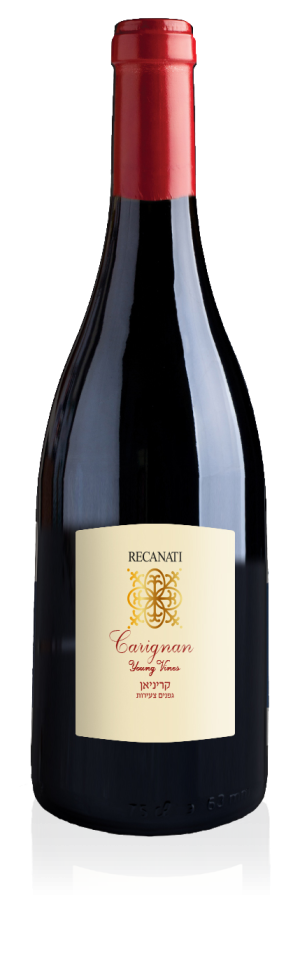 סטודיו שמשי אגמון