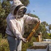 לירון מולדובן