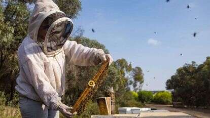 לירון מולדובן