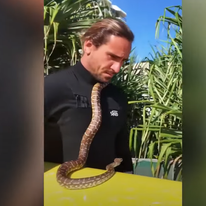 הגולש ונחש המחמד שלו. | מסך מיוטיוב