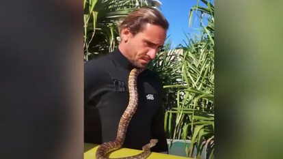 הגולש ונחש המחמד שלו. | מסך מיוטיוב