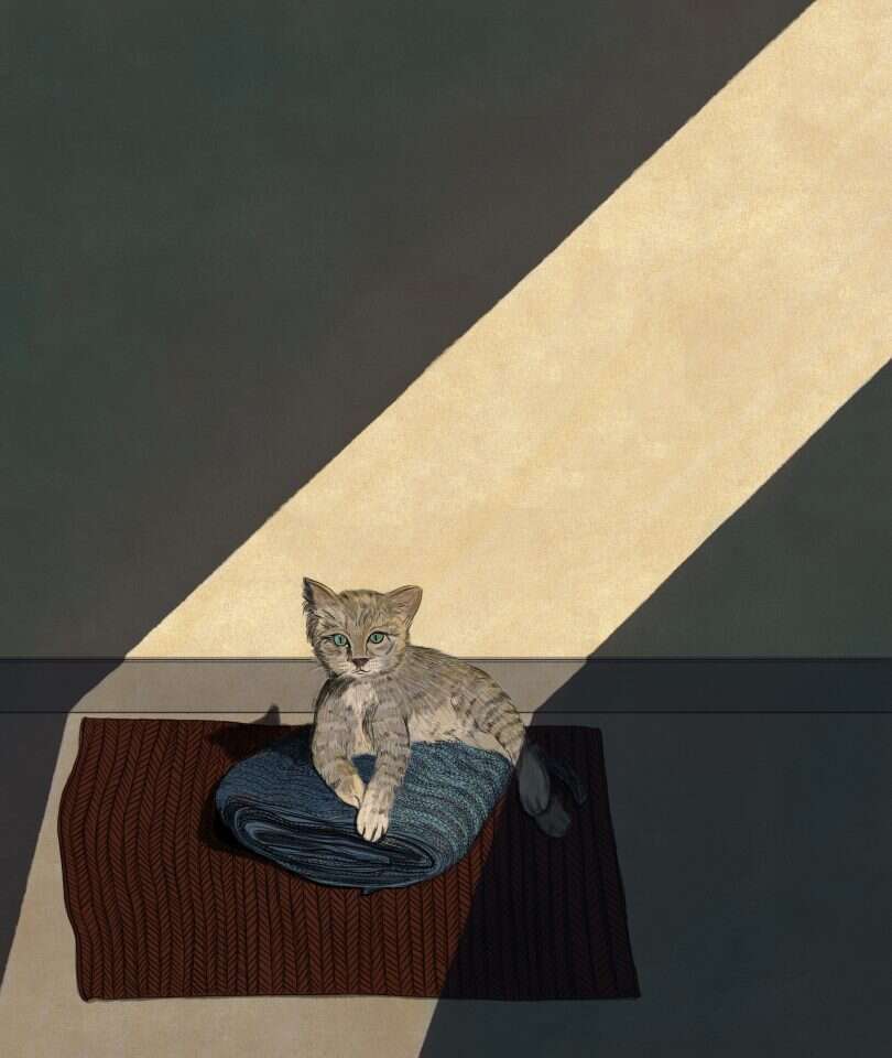 איור: שרון ארדיטי איור: שרון ארדיטי