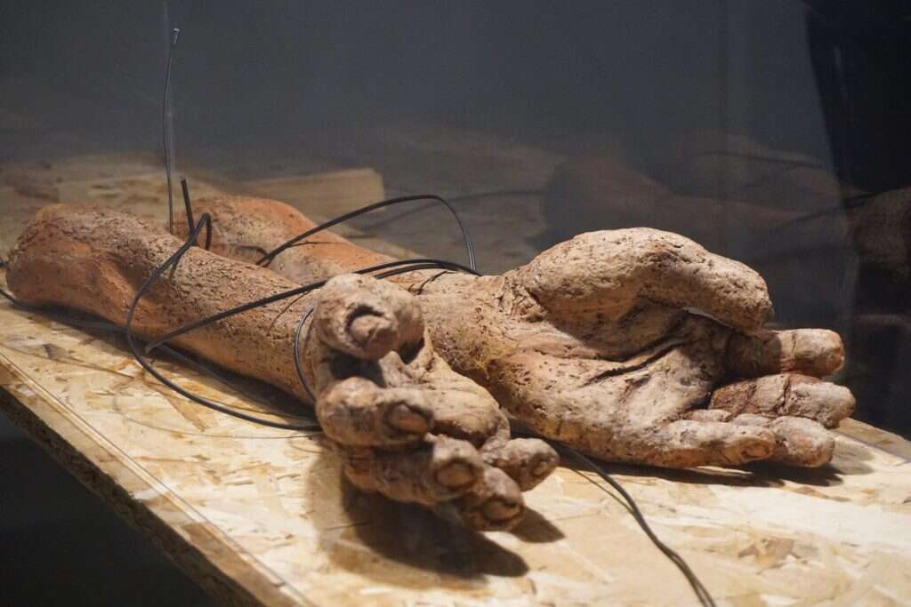 אלי אלקרס, "ידיים בשבי". | אלי אלקרס אלי אלקרס, "ידיים בשבי". | אלי אלקרס