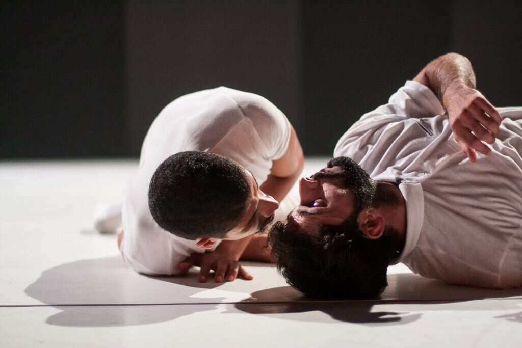 ורטיגו. | פיני שניר