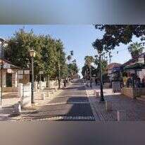 המדרחוב המפורסם של זכרון יעקב. | איציק בן דב, החברה להגנת הטבע