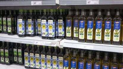 שמן זית. | חיים גולדברג/פלאש90 שמן זית. | חיים גולדברג/פלאש90