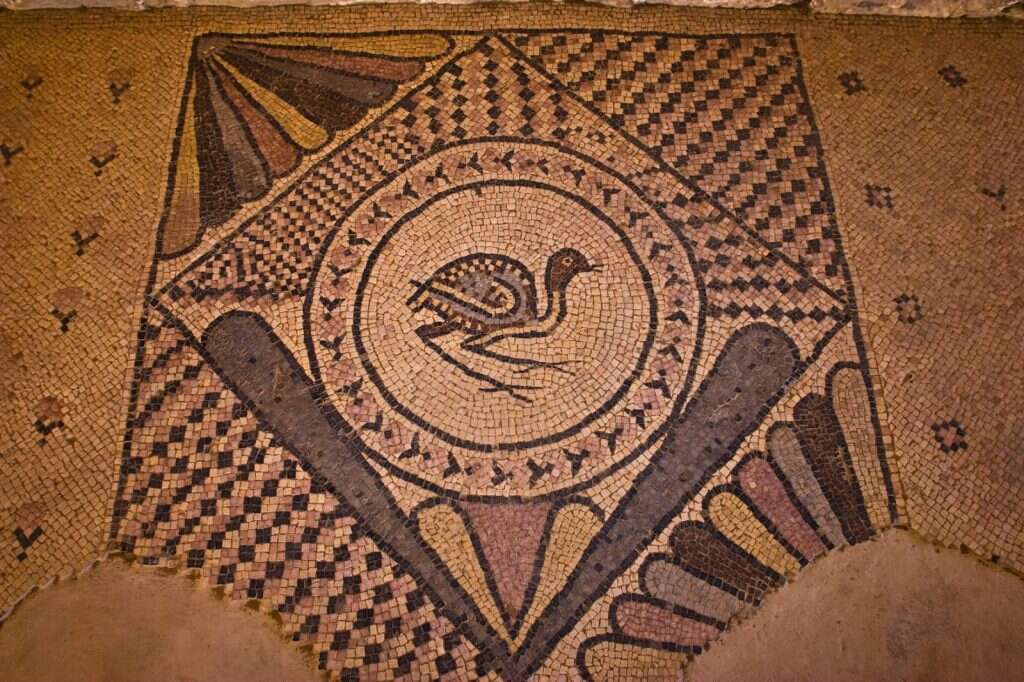 אתר השומרוני הטוב. | דורון ניסים