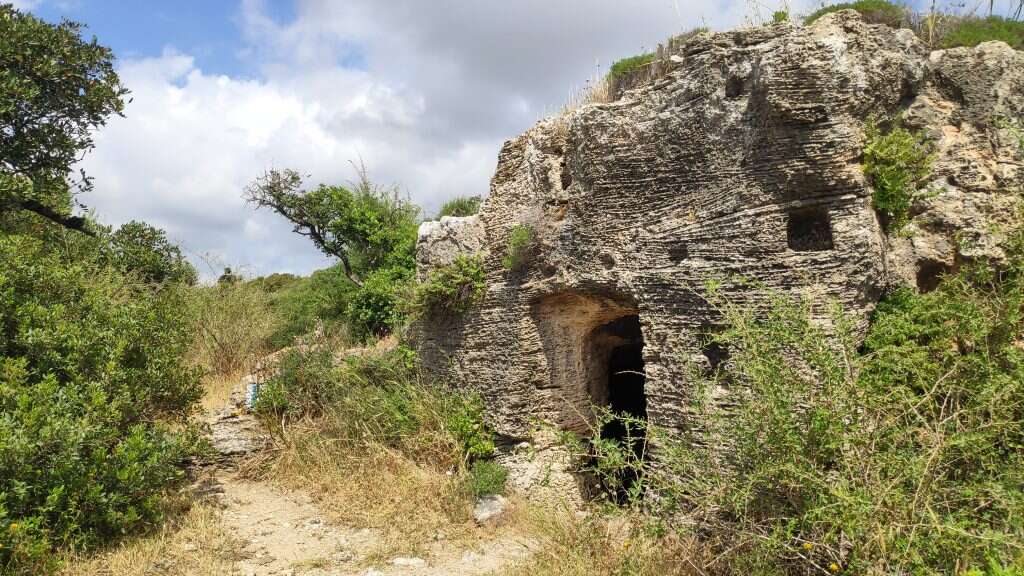 חברת קרתא. | check inout חברת קרתא. | check inout