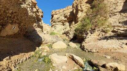 עין בוקק. | check inout