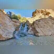 עין בוקק. | check inout