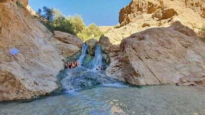 עין בוקק. | check inout