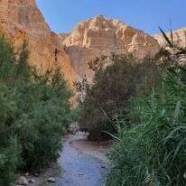 עין בוקק. | check inout