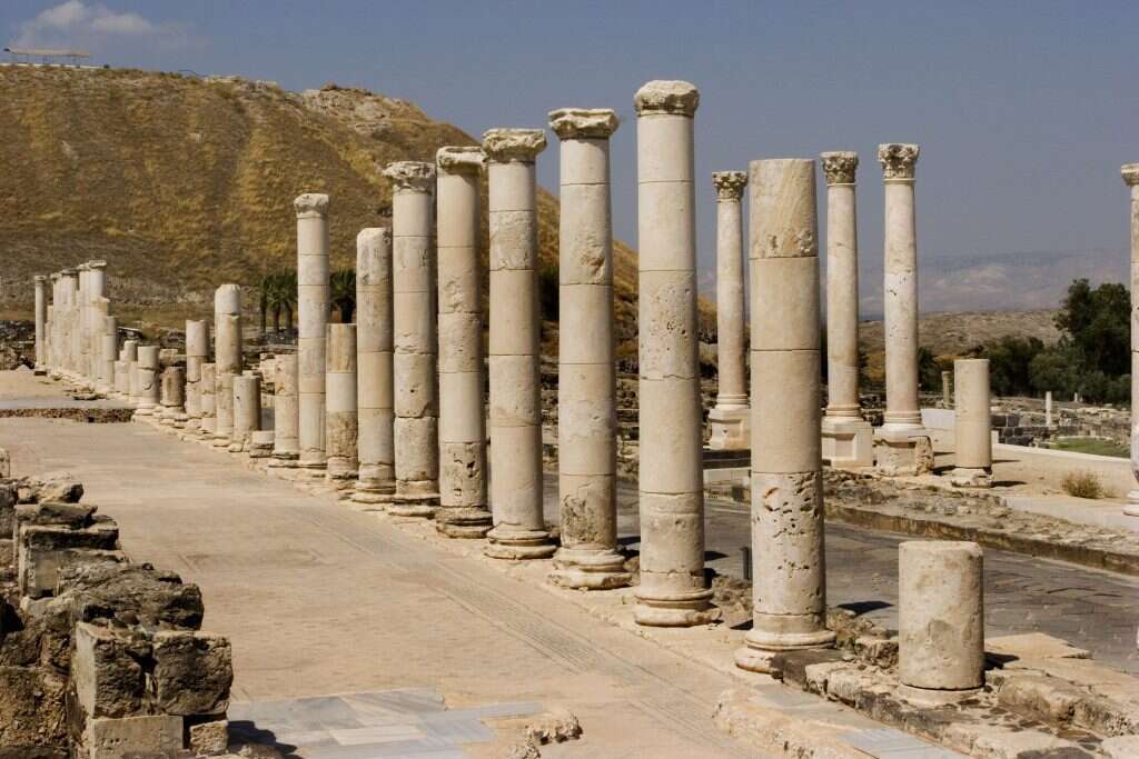 גן לאומי בית שאן. | חן לאופולד, פלאש 90