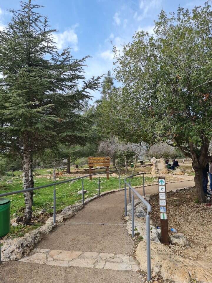 פארק אדמית. | check inout