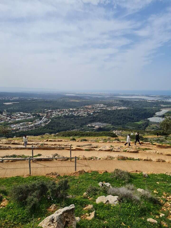 פארק אדמית. | check inout