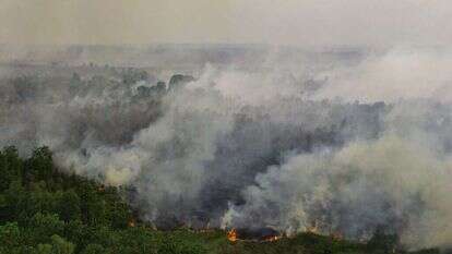 עשן משריפת ענק באינדונזיה, ארכיון. | Al ZULKIFLI / AFP