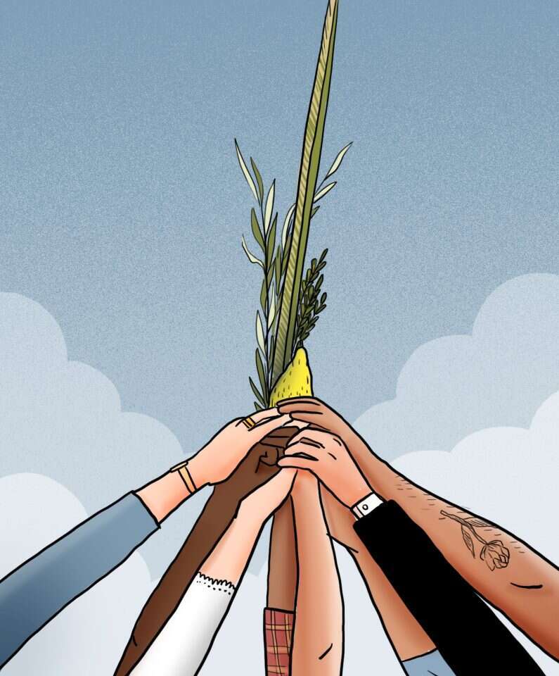 איור: נעמה להב