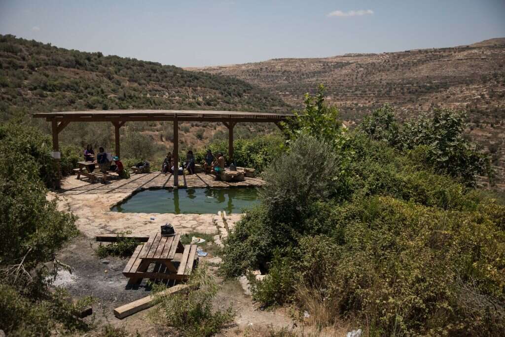 עינות ענר. | הדס פרוש, פלאש 90