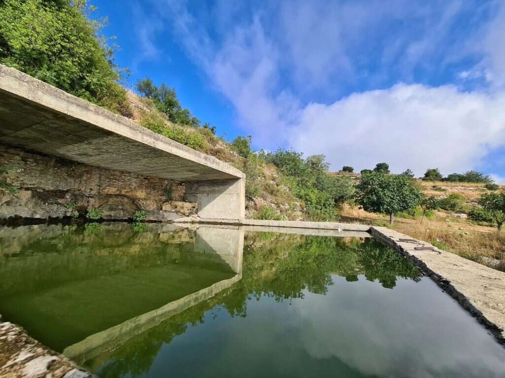 אל־ קסיס. | יאיר ארונשטם