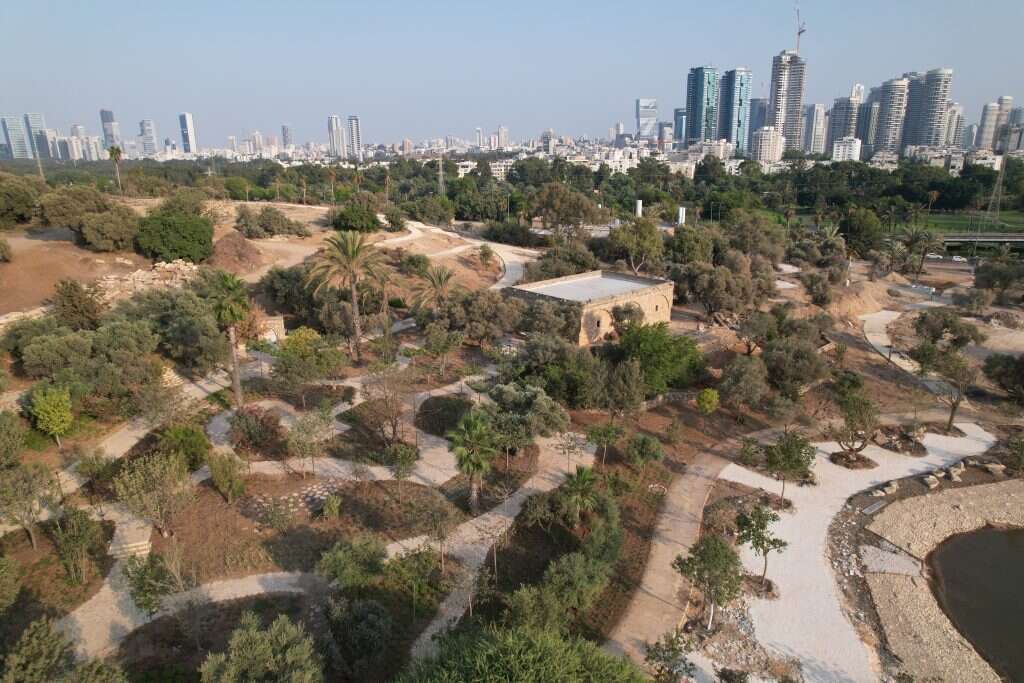 אורי לווינגר