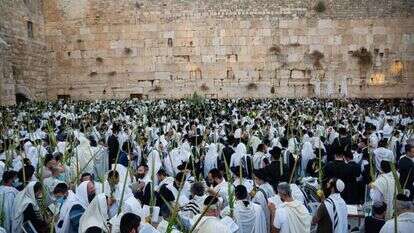 מתפללים בחג הסוכות בכותל. | הקרן למורשת הכותל המערבי