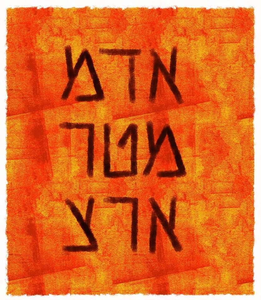 איור: מנחם הלברשטט