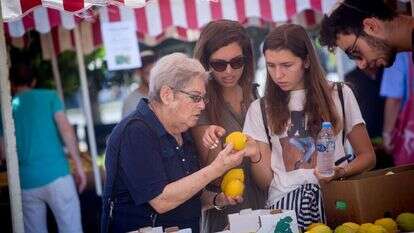 שוק ארבעת המינים בתל אביב, 2018. | מרים אלסטר, פלאש 90