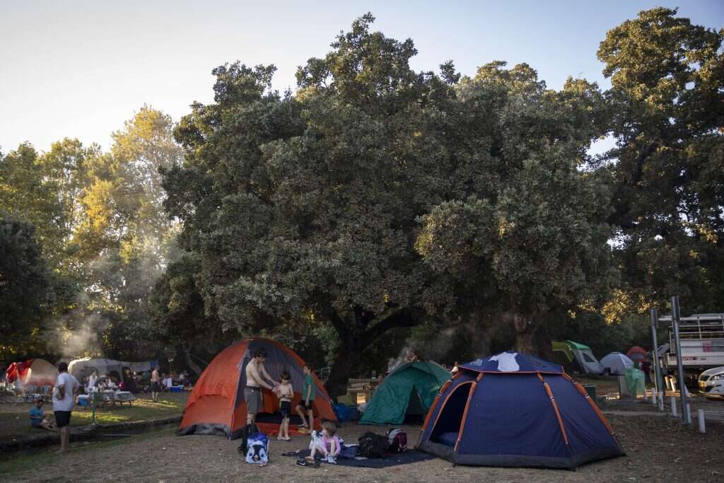 חורשת טל. | הדס פרוש / פלאש 90