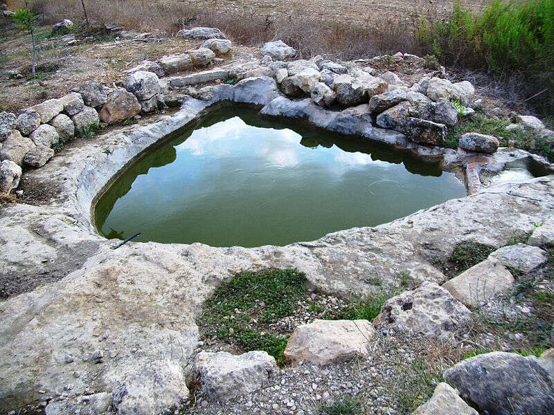 מעיין מאיר. | ויקיפדיה