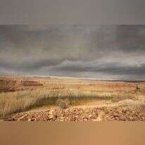 סתיו פאולמן, 2022