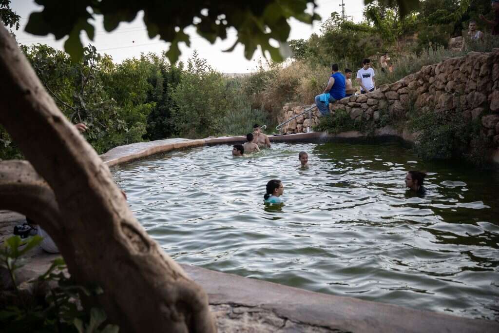 עין לבן. | הדס פרוש, פלאש 90