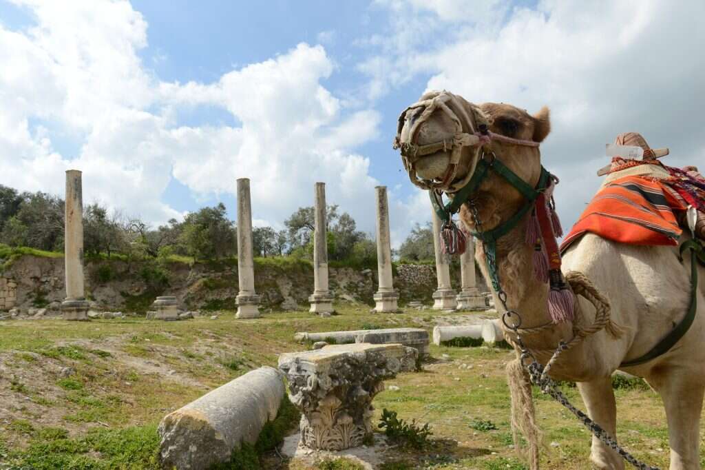 תיירות שומרון