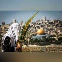 נטילת לולב מול הר הבית. | נועם רבקין פנטון, פלאש 90