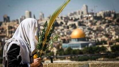 נטילת לולב מול הר הבית. | נועם רבקין פנטון, פלאש 90