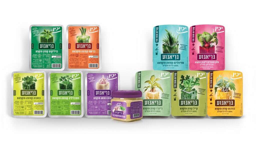 סדרת בריאבוע. | סטודיו אורית חן צדוק סדרת בריאבוע. | סטודיו אורית חן צדוק