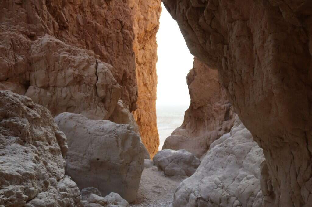 נחל תמר. | יפתח בר גיורא