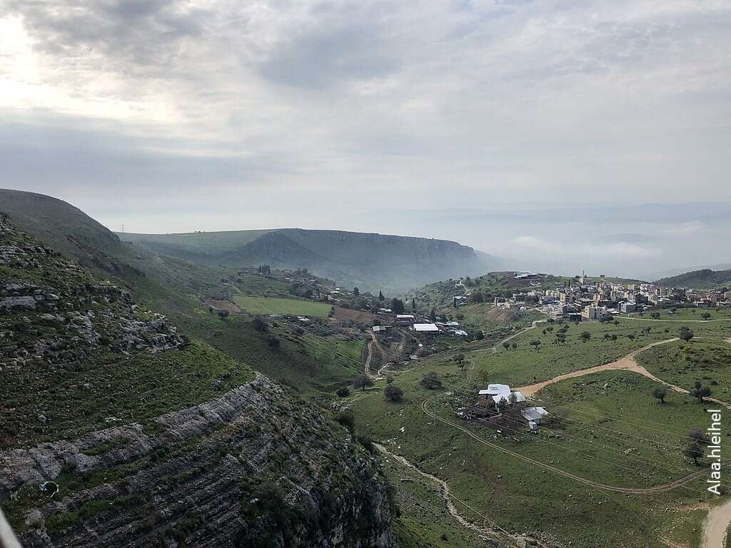 עכברה. | Alaa hleihel