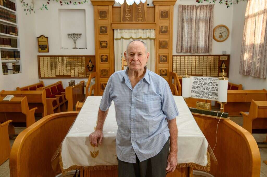 דוד טל. | אייל מרגולין-ג'יני