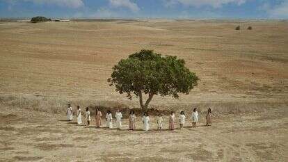 בתרונות רוחמה. מתוך התערוכה של שילת מזרחי. | שילת מזרחי בתרונות רוחמה. מתוך התערוכה של שילת מזרחי. | שילת מזרחי